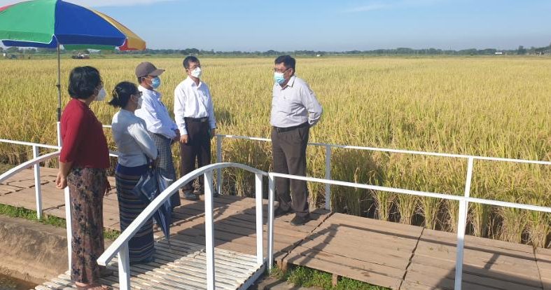 စပါးအပါအဝင် ဟင်းသီးဟင်းရွက် သစ်သီးဝလံ မျိုးကောင်းမျိုးသန့်များ ထုတ်လုပ်ရာတွင် ခေတ်မီ Bio Technology နည်းပညာအသုံးပြု ဆောင်ရွက်သွားမည်